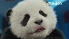 寡妇的私人秘密
